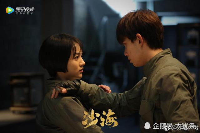 沙海最后结局是什么，沙海结局是什么样的（汪家被摧毁吴邪奔赴长白山接小哥）