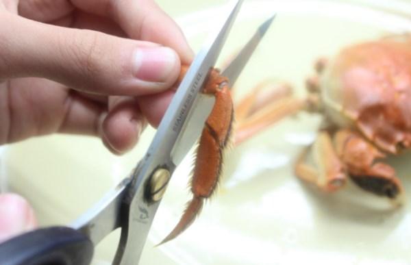吃大闸蟹的详细吃法，大多数人还不会吃大闸蟹