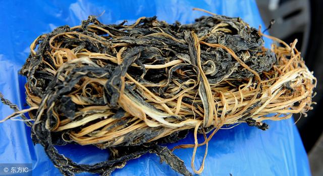 白菜叶子干枯是什么病，白菜叶子干枯是什么病害（农村常见的5种干菜）