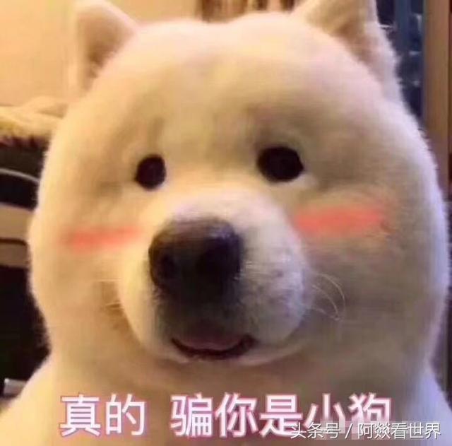 卧室门对着卫生间风水化解，卧室门对着卫生间风水化解视频（“卧室门”对“厕所门”为何会风水不好）