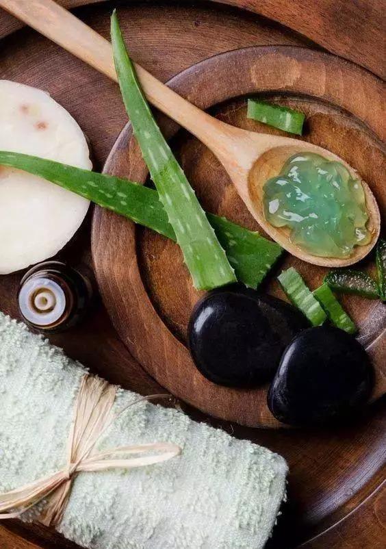 鲜芦荟的功效与作用和用法，芦荟的功效与作用的正确用法（最安全健康“保护伞”，值）