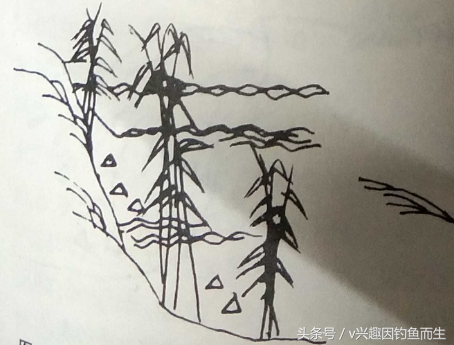 野钓高手必备：钓位与鱼道图解，精准选点提升渔获效率