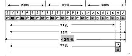 口琴自学教程，口琴自学教程哪些书最好（口琴入门基础教学）