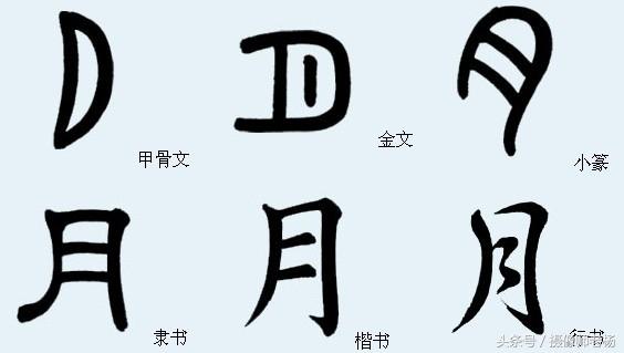 月字偏旁的字有哪些字 月字偏旁的字有哪些字用古文怎么写 珍缘易学