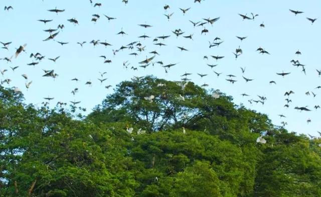 筠连县景点，筠连县风景区（筠连的四季游攻略，齐了！）