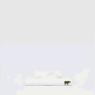 lacoste怎么读，lacoste怎么读英文（用26个字母去了解一个“你以为了解的品牌”）
