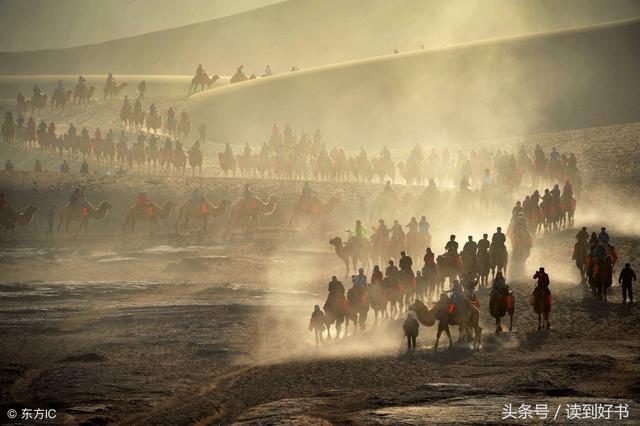 弑和杀的区别是什么，弑与杀有啥区别（孔子修《春秋》时力求用简单的字句区分出不同的事态）