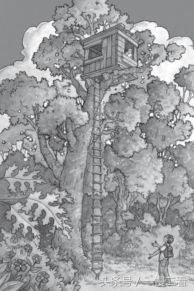 马爱新马爱农简介，马爱农和马爱新（兼具文学、知识、价值观的《神奇树屋》）