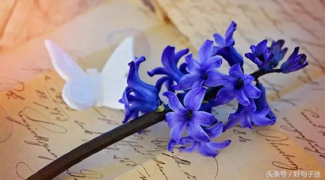 美句四字短句，美句四字短句霸气（短小精美的句子）