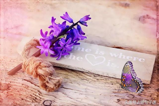 美句四字短句，美句四字短句霸气（短小精美的句子）