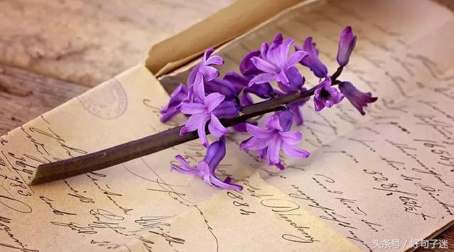 美句四字短句，美句四字短句霸气（短小精美的句子）