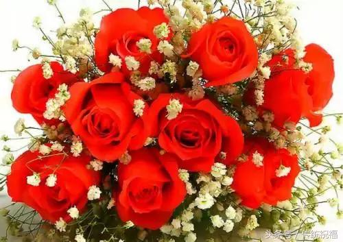 中秋节祝福语：花好月圆人长久，中秋节祝福语（花好月圆，中秋快乐）