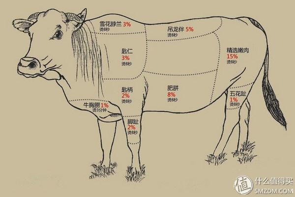 牛胸口油是哪个部位,牛胸口油位置(对于吃牛的种种讲究)