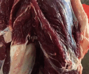 牛胸口油是哪个部位，牛胸口油是哪个部位图片（对于吃牛的种种讲究）