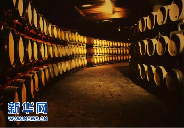 踪什么意思解释，踪字笔画笔顺（每日一字：奇）