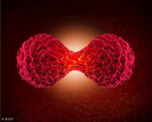 胆总管内径正常值，ct胆囊大小正常值是多少（胆总管上段内径在正常值范围内）