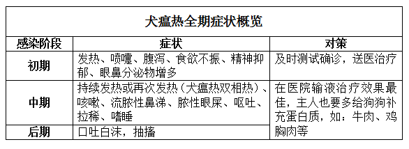 犬瘟初期鼻涕照片，犬瘟热初期症状的判断及预防（合理的饮食加治疗）