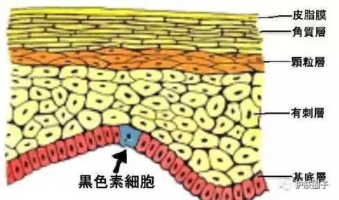 为什么祛斑过程中斑越来越明显，祛斑不成反加重