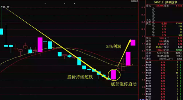 一枝独秀什么意思啊，一枝独秀什么意思啊二年级上册（若底部出现“一枝独秀”）