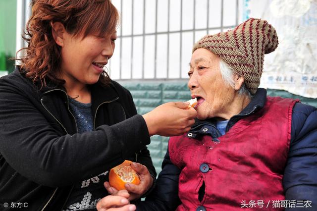 户籍性质一栏怎么写，户籍性质一栏怎么写户籍人口省外（1个小章子区分户口性质）