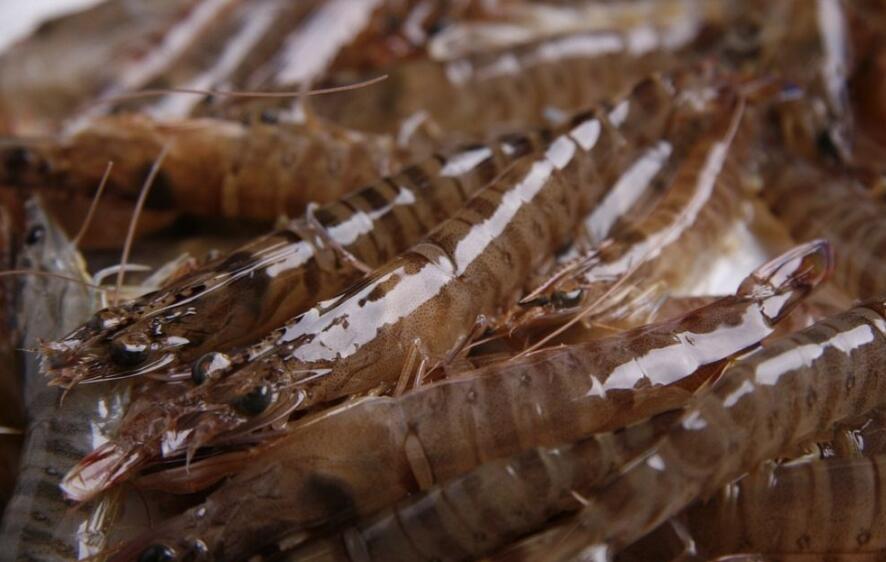 圖片[2]-【香辣干鍋蝦】做法步驟圖 開了20年店的叔叔公布-起舞食譜網(wǎng)