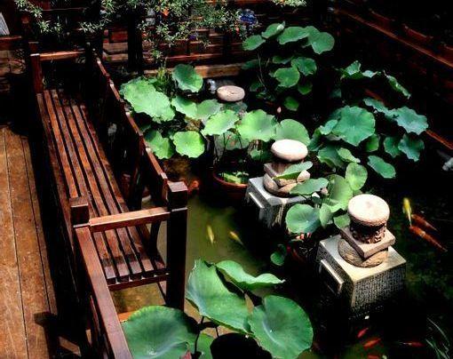 形容没钱的成语，形容没有钱的四字成语（那些藏在成语里的智慧）