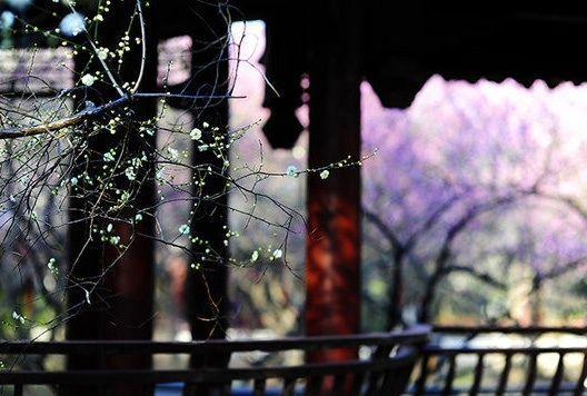 形容没钱的成语，形容没有钱的四字成语（那些藏在成语里的智慧）