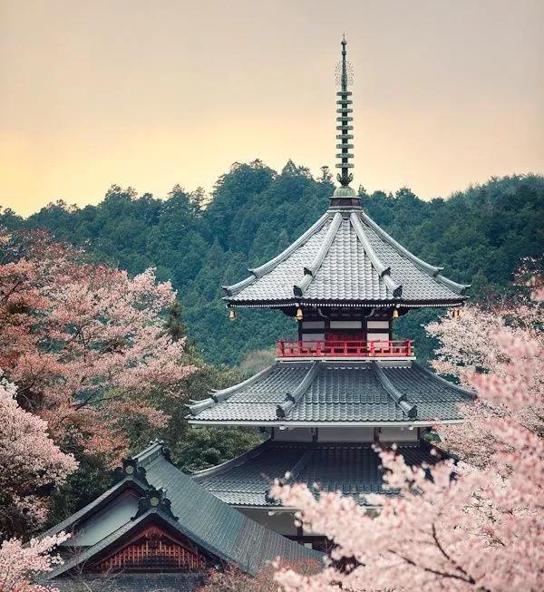 形容没钱的成语，形容没有钱的四字成语（那些藏在成语里的智慧）