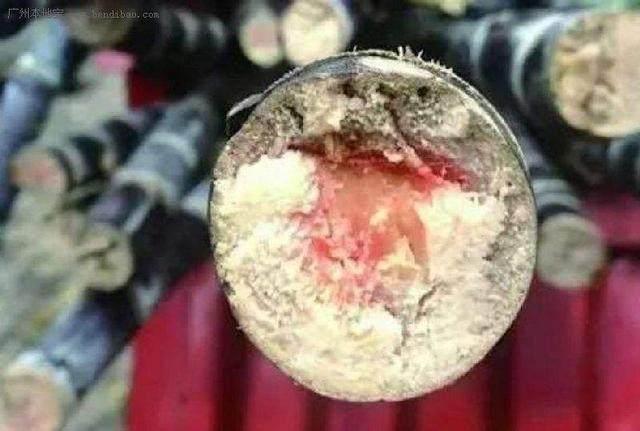 挑选甘蔗的方法介绍，怎么挑甘蔗（俗话说秋吃甘蔗赛人参）