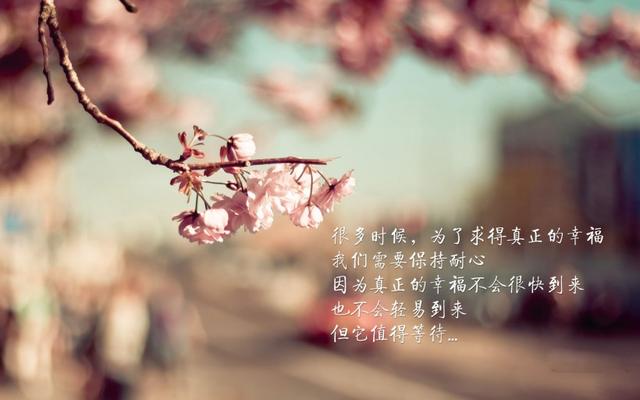 承蒙厚爱经典句子，承蒙厚爱的爱情短语（9句正能量」语录️承蒙厚爱）