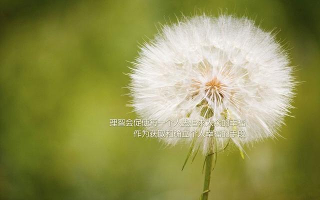 承蒙厚爱经典句子，承蒙厚爱的爱情短语（9句正能量」语录️承蒙厚爱）