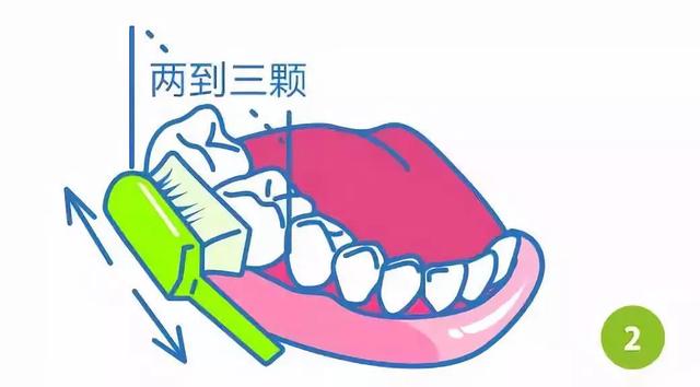 巴氏刷牙法如何操作，巴氏刷牙法7步骤（来学一下巴氏刷牙法<图解>）