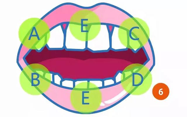 巴氏刷牙法如何操作，巴氏刷牙法7步骤（来学一下巴氏刷牙法<图解>）