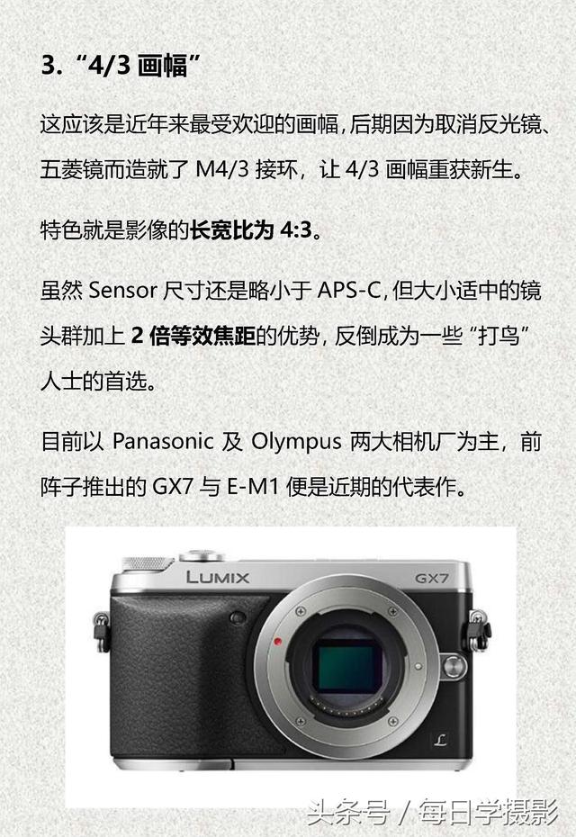 单反是什么意思，什么是单反相机单反是什么意思（全幅、C幅、4/3画幅是什么意思）