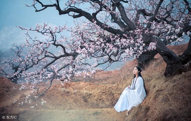 眉间雪歌词,眉间雪歌词讲的什么故事(唯美古风歌词大全)