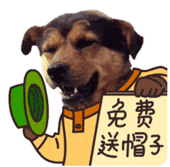 12月4送你八个笑话太绝了，一个比一个搞笑，绝对笑的你肚子疼！