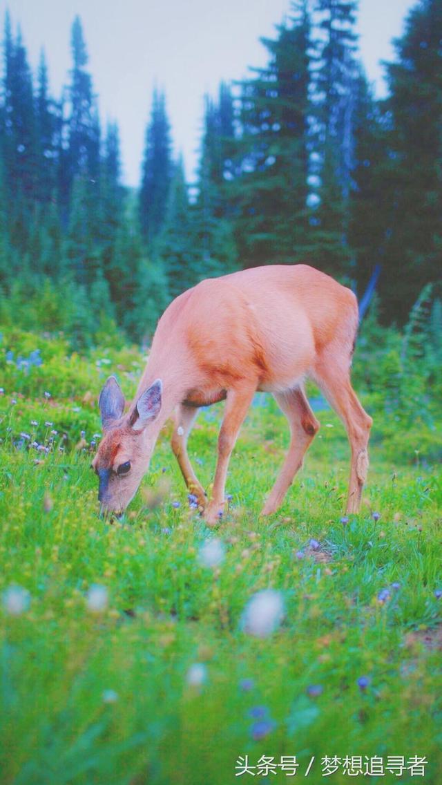 委屈是什么意思， 委屈是种什么心理（最虐心的句子——善解人意是什么意思）