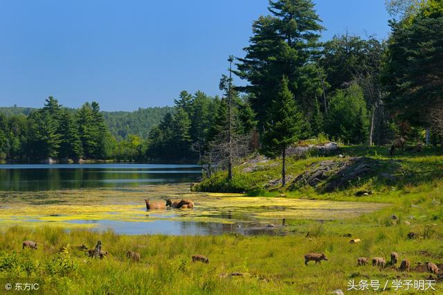 什么头什么尾成语，什么头什么尾（大语文学习：字成语）