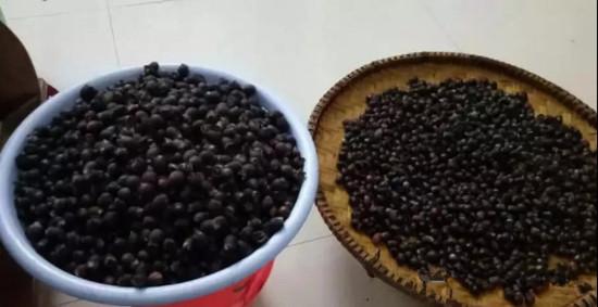 捻子酒的做法大全，捻子酒的做法大全图解（酿酒机器-捻子酒2种家庭自制酿酒方法）