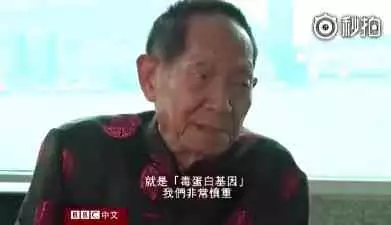 杂交水稻是转基因吗(中国22种转基因植物)