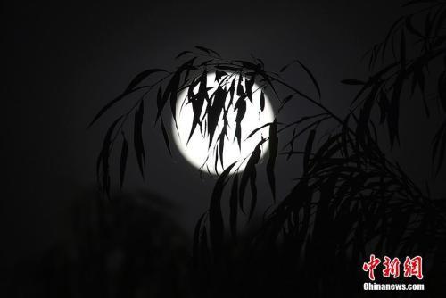 月亮十六圆代表什么，今年中秋月25日上午最圆
