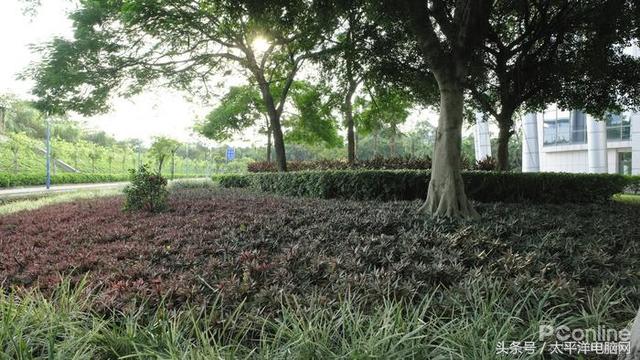 富士数码相机官网，富士胶片相机（60P,在座的APS-C都不是对手）