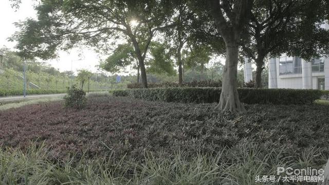 富士数码相机官网，富士胶片相机（60P,在座的APS-C都不是对手）