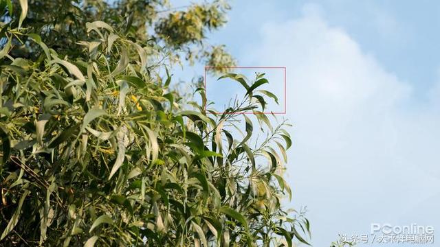 富士数码相机官网，富士胶片相机（60P,在座的APS-C都不是对手）