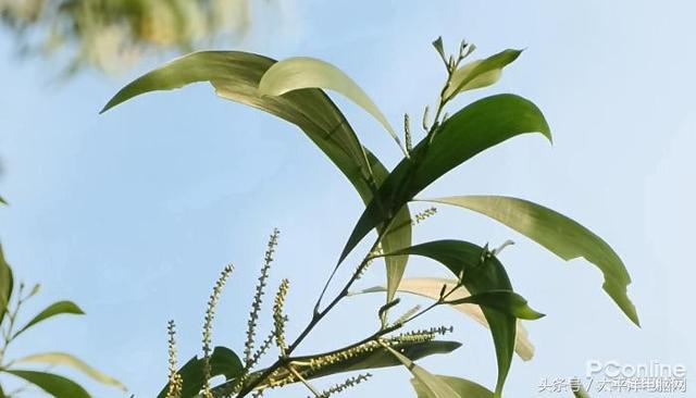 富士数码相机官网，富士胶片相机（60P,在座的APS-C都不是对手）