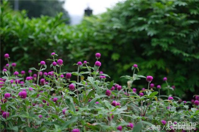 富士数码相机官网，富士胶片相机（60P,在座的APS-C都不是对手）