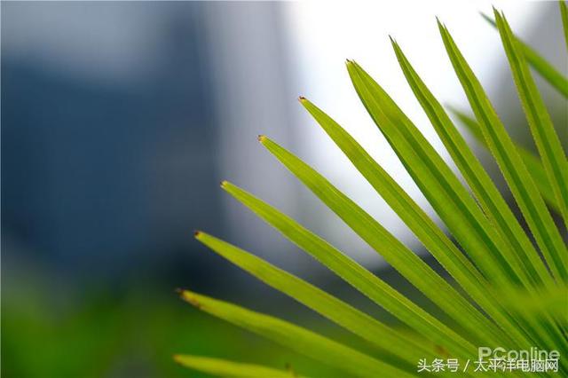 富士数码相机官网，富士胶片相机（60P,在座的APS-C都不是对手）