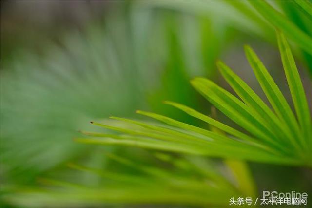 富士数码相机官网，富士胶片相机（60P,在座的APS-C都不是对手）