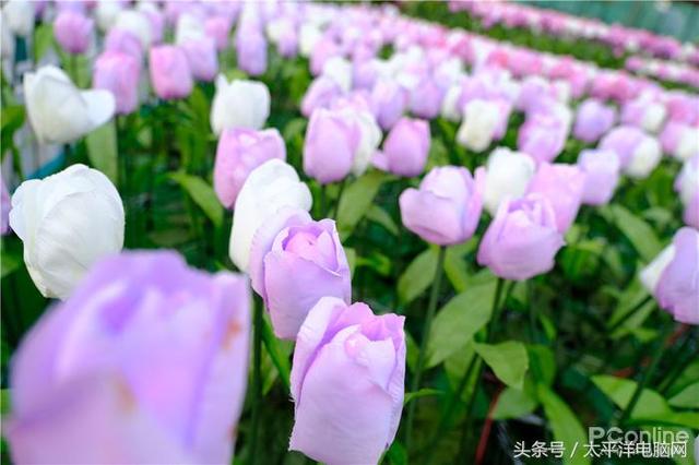 富士数码相机官网，富士胶片相机（60P,在座的APS-C都不是对手）