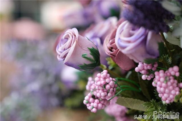 富士数码相机官网，富士胶片相机（60P,在座的APS-C都不是对手）